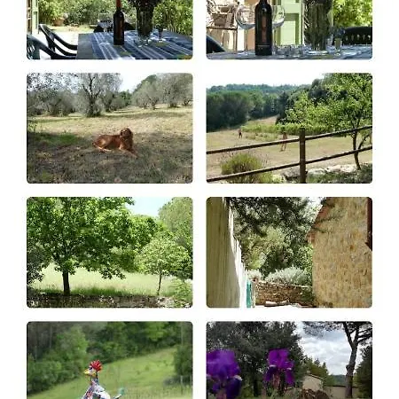 Casa Jacaranda Casa vacanze *