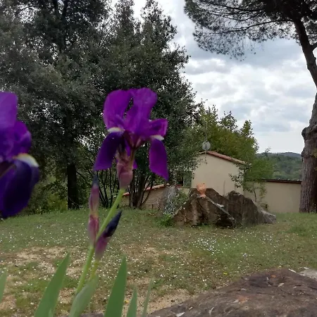 Casa Jacaranda Ferienhaus Monteverdi Marittimo