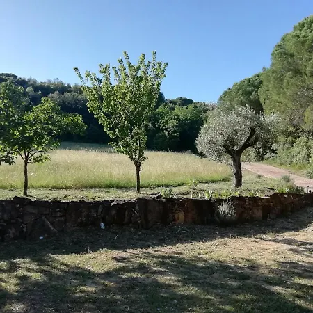 Casa Jacaranda * מונטורדי מריטימו