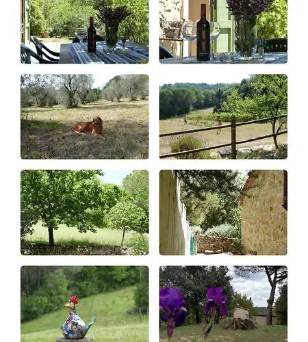 Casa Jacaranda Holiday home *