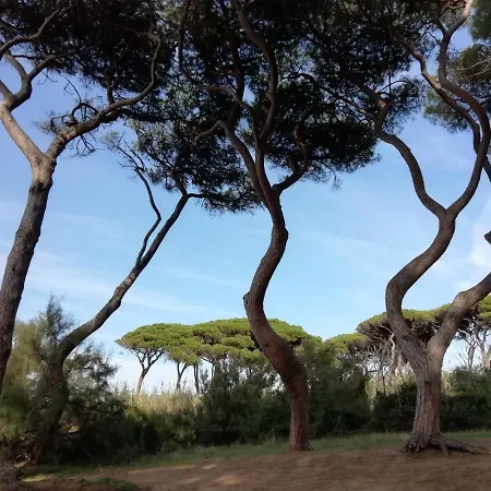Casa Jacaranda Σπίτι διακοπών Monteverdi Marittimo