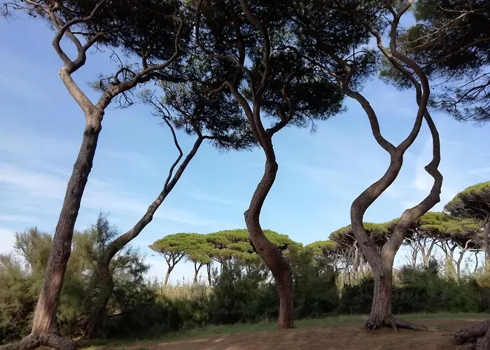 Casa Jacaranda Ferienhaus Monteverdi Marittimo