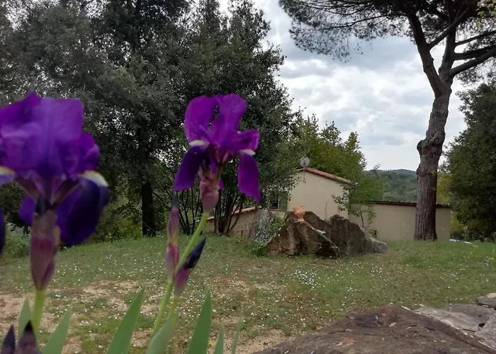 Casa Jacaranda Ferienhaus Monteverdi Marittimo